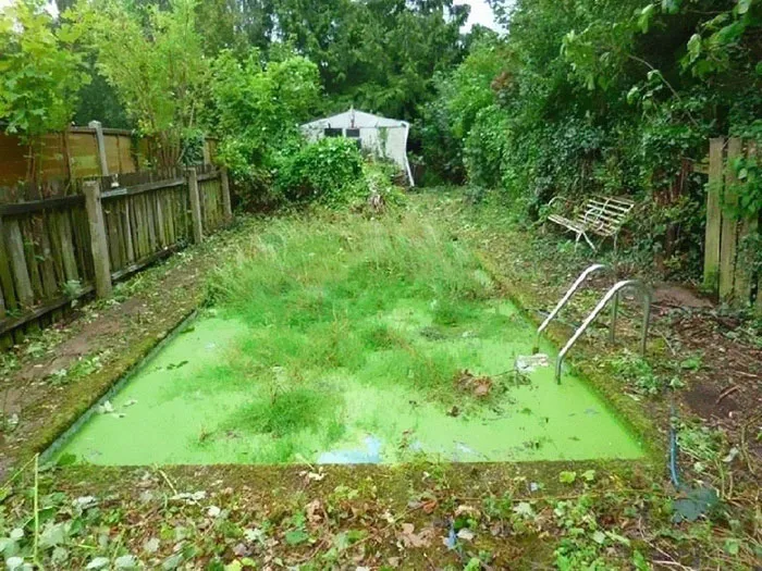 If The Weather Clears Up Later I Might Mow The Pool