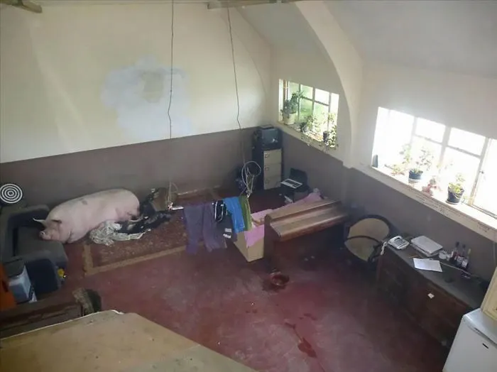 Wake Up Eric, The Agent’s Here. And For Heaven’s Sake Put Some Clothes On