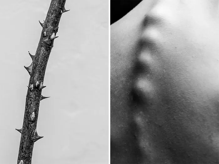 I Show The Beauty Of The Human Body By Combining It With Elements Of Nature