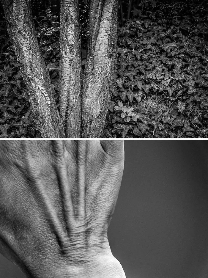 I Show The Beauty Of The Human Body By Combining It With Elements Of Nature