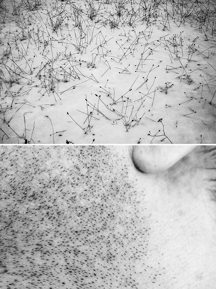 I Show The Beauty Of The Human Body By Combining It With Elements Of Nature