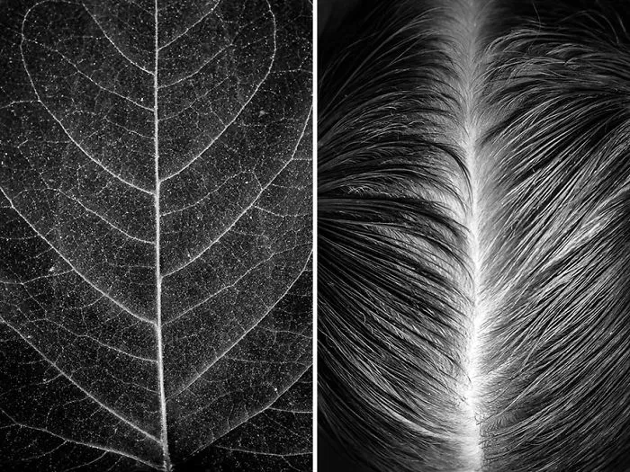 I Show The Beauty Of The Human Body By Combining It With Elements Of Nature