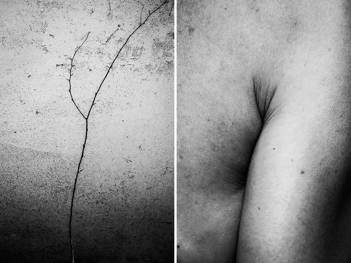 I Show The Beauty Of The Human Body By Combining It With Elements Of Nature