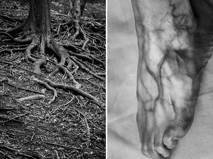 I Show The Beauty Of The Human Body By Combining It With Elements Of Nature