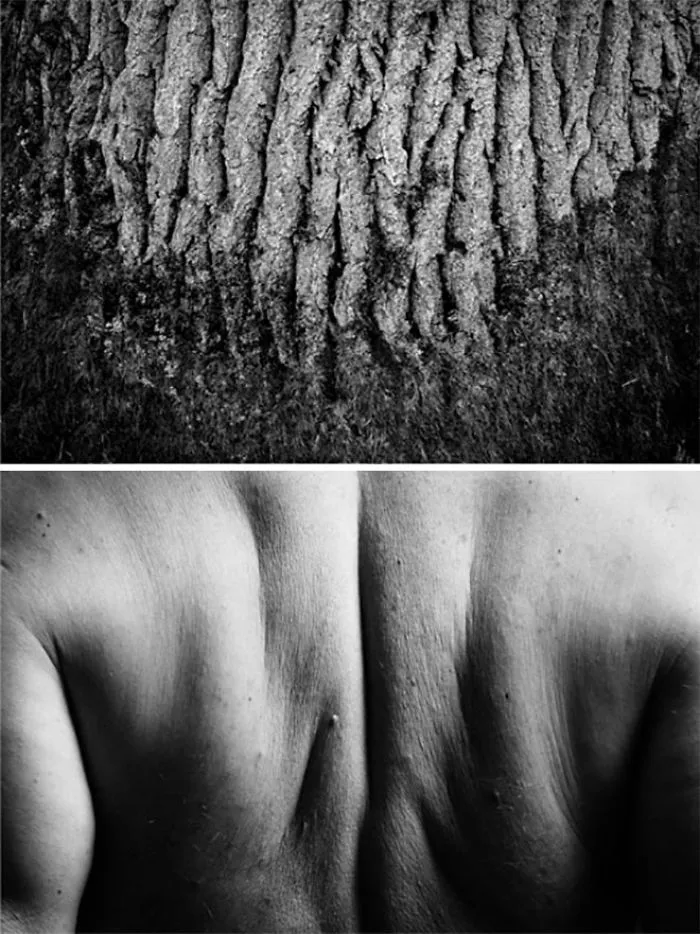 I Show The Beauty Of The Human Body By Combining It With Elements Of Nature