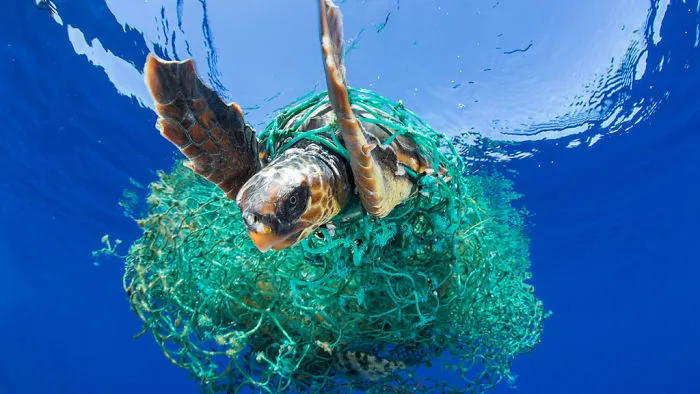 What Is The Great Pacific Garbage Patch, Anyway?