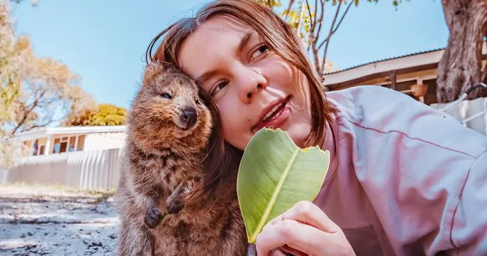 I Flew 25 Hours To Australia Just To See The Cutest Animals In The World - Quokkas