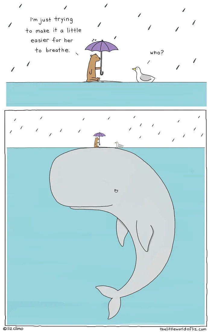 Simpsons Animator Illustrates Awkward Everyday Lives Of Lovable Animals, Amasses 849k Instagram Followers