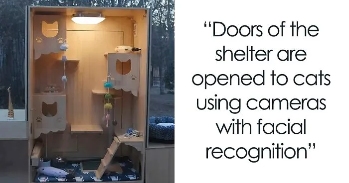 Computer Engineer Created An AI Shelter That Takes Care Of 174 Cats, And Even Has A Facial Recognition System