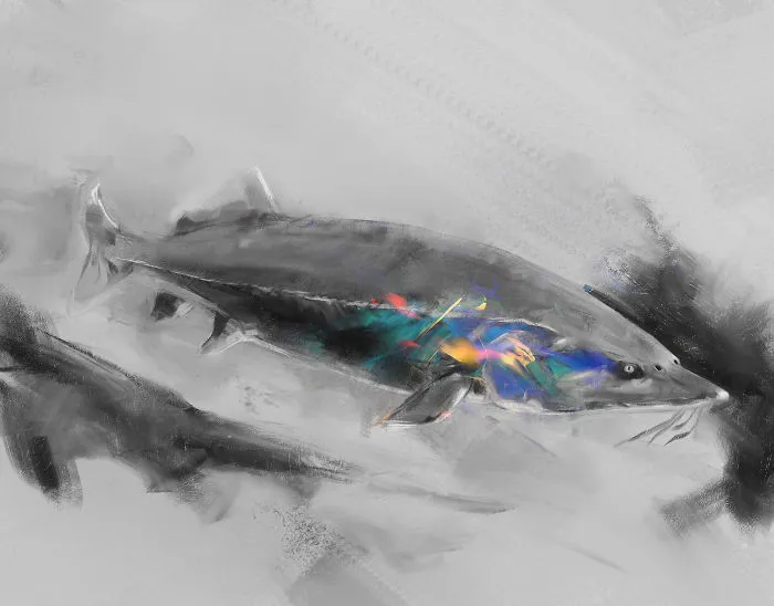 Beluga