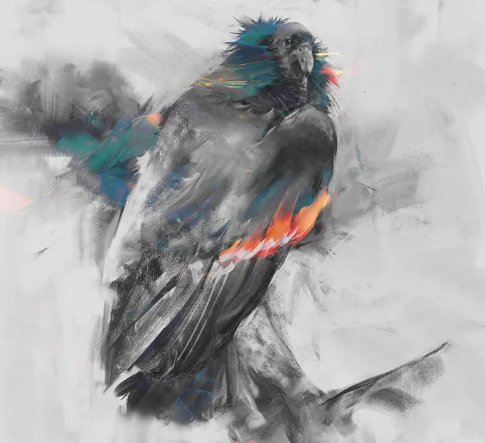 Californian Condor