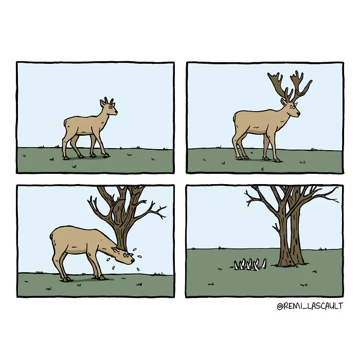 Dibujo cómics estúpidos para la gente con un sentido del humor oscuro (18 imágenes)