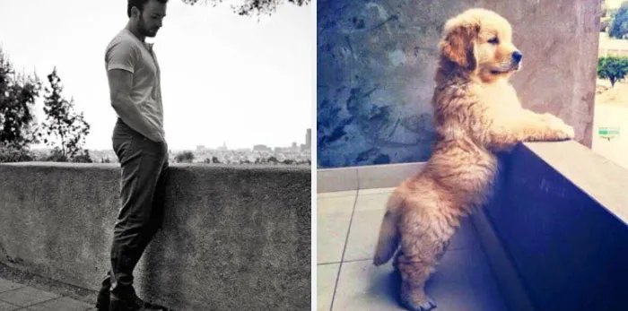 This Twitter Account Is On A Mission To Prove That Chris Evans Is A Golden Retriever, And Already Has 55K Supporters