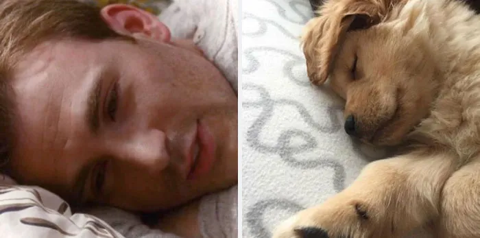 This Twitter Account Is On A Mission To Prove That Chris Evans Is A Golden Retriever, And Already Has 55K Supporters
