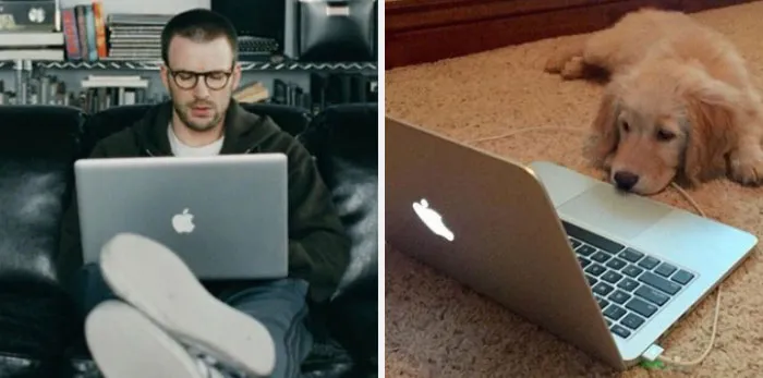 This Twitter Account Is On A Mission To Prove That Chris Evans Is A Golden Retriever, And Already Has 55K Supporters