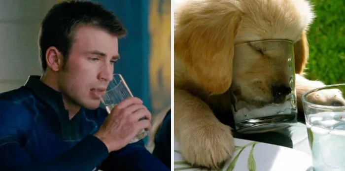 This Twitter Account Is On A Mission To Prove That Chris Evans Is A Golden Retriever, And Already Has 55K Supporters