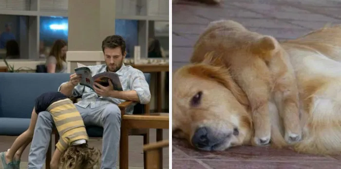This Twitter Account Is On A Mission To Prove That Chris Evans Is A Golden Retriever, And Already Has 55K Supporters