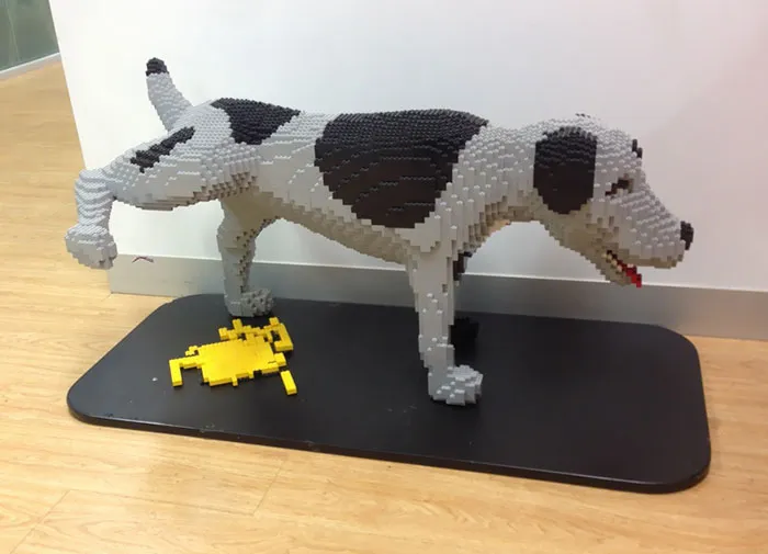 In The Waiting Room Of The LEGO Office In Sydney