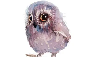 I Painted My First Owl 5 Years Ago, And Haven't Been Able To Stop Since (54 Pics)
