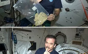 30 Fake Viral Photos People Believed Were Real