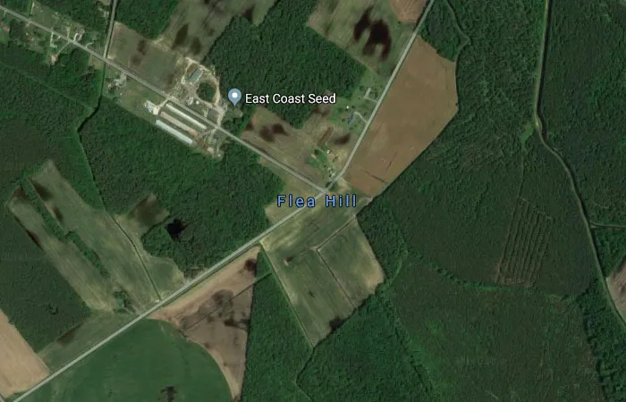 Flea Hill, Delaware