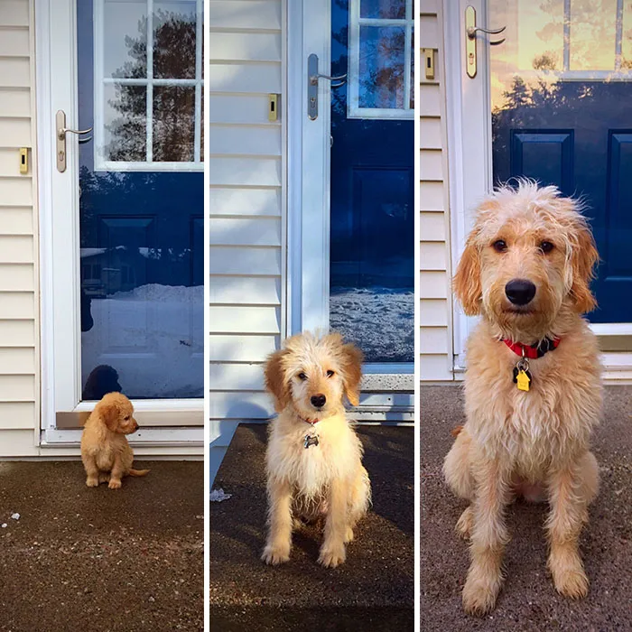 6 meses de diferencia