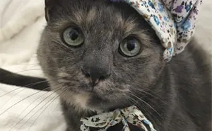 30 People Share The Funniest Pet Names And They're Beyond Creative