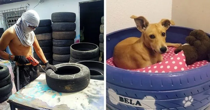 Brazilian Artist Uses The Used Tires That People Throw In The Streets To Create Beds For Animals