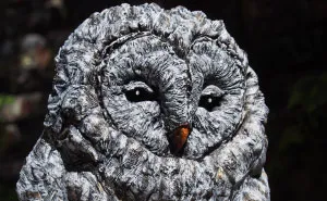I Use Wood And Clay To Create Realistic Owl Sculptures