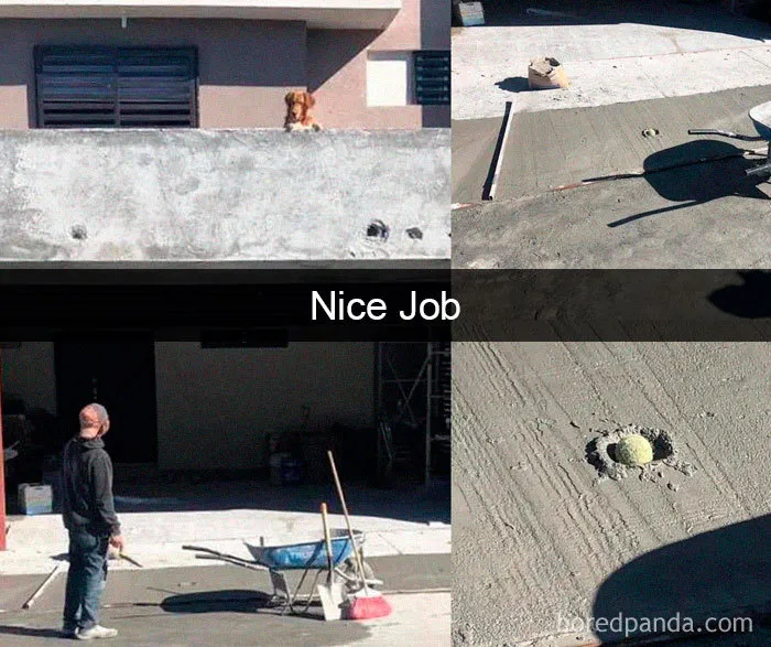 30 Funny And Cute Dog Snapchats That Will Hopefully Make Your Day