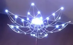 People Are Saying This Husband Just Won Valentine's Day By Gifting His Wife A Mechanical Flower That Blooms When Touched