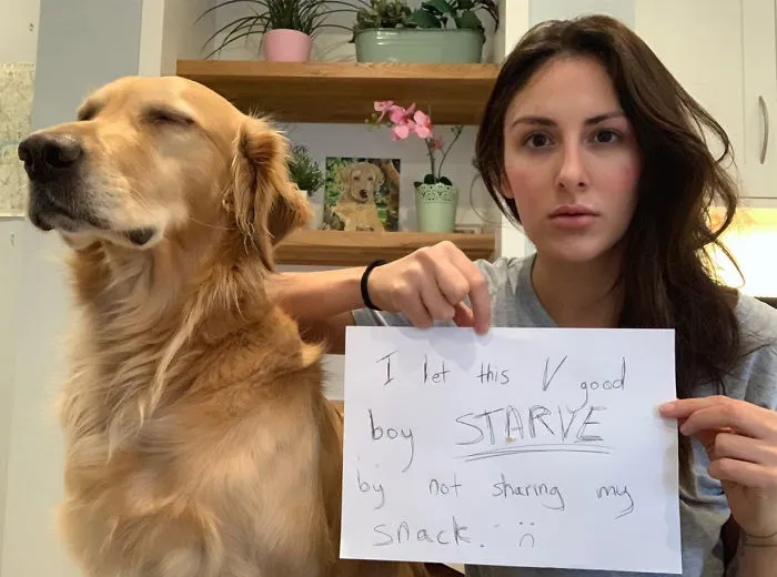 Estoy un poco obsesionada con mi perro, pero no me arrepiento en ningún momento (22 fotos)