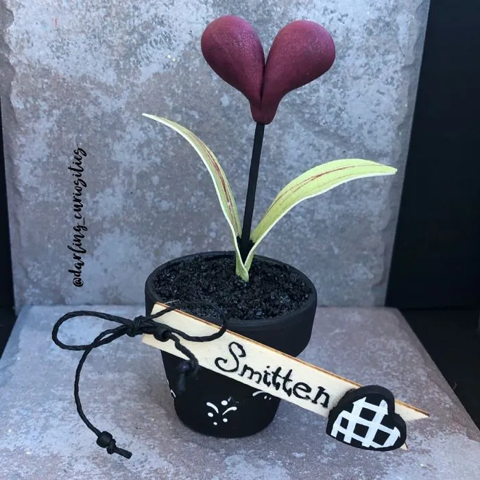 Valentines Day Collection