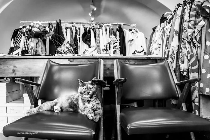 Ketty At The Clothing Store
