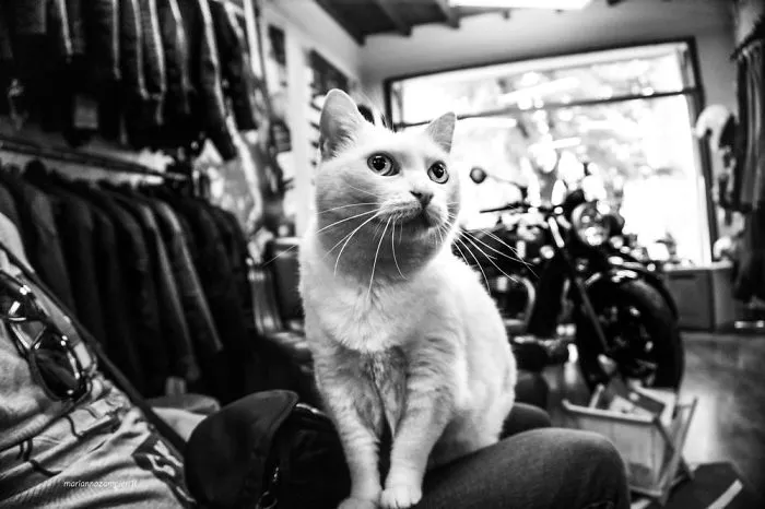 Nelly At The Bike Shop