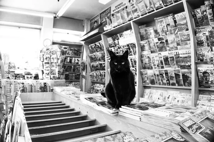 Lily At The Newspaper Stand