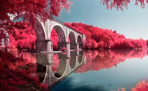 I Made A Lens Filter To Recreate Infrared Photography With My Modified Digital Camera