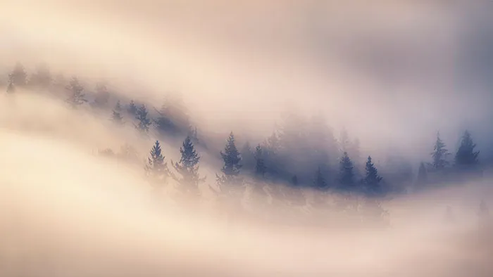 Washougal, Washington, Usa, Miles Morgan