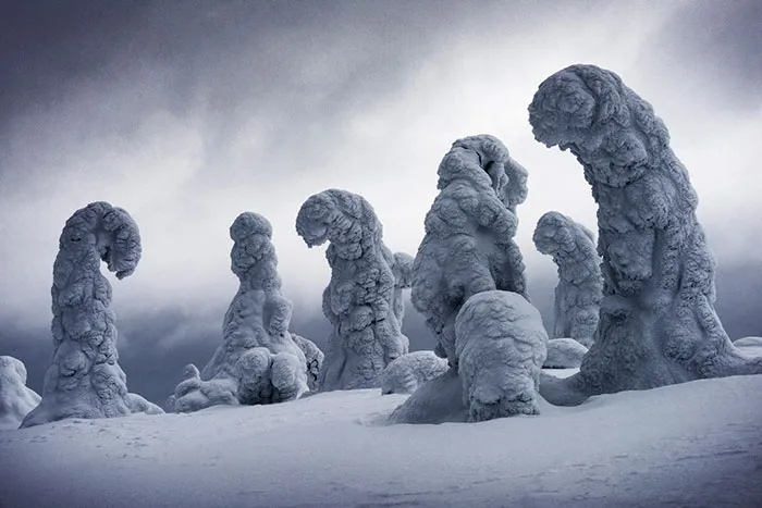 2018 The Snow & Ice Award, Lapland, Finland, Ignacio Palacios