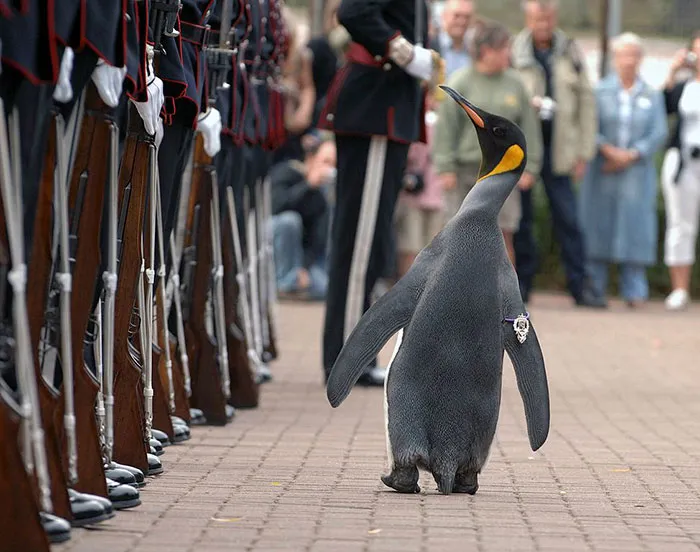 Strange And Interesting Facts About Life In Norway You Probably Didn’t Know