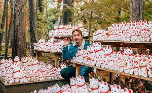 Here's A Temple For All Cat Lovers