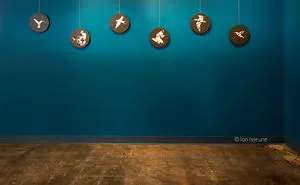 Come Fly Away With Me And My Mixed Media Wall Installation Art Of Birds And More...