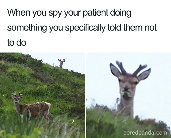 Spy Mode