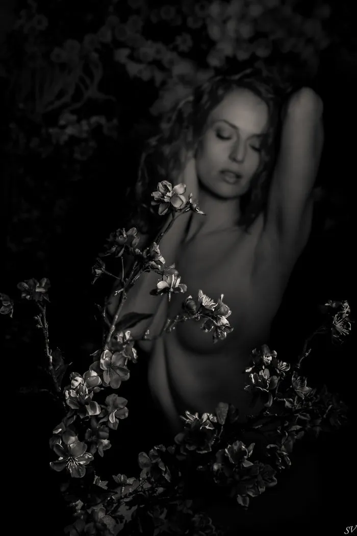 We Photograph Boudoir On A Creative Way