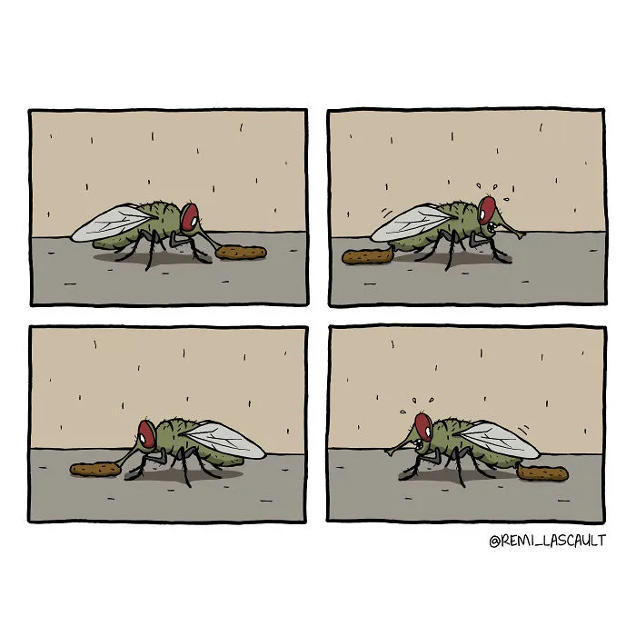 Dibujo cómics estúpidos para la gente con un sentido del humor oscuro (18 imágenes)