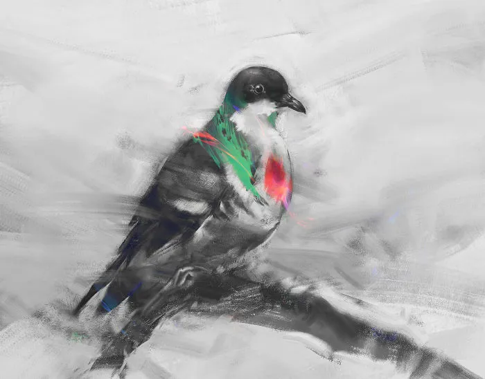 Negros Bleeding Heart Pigeon