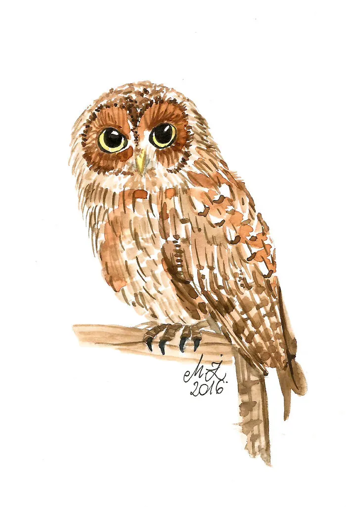 I Painted My First Owl 5 Years Ago, And Haven't Been Able To Stop Since (54 Pics)