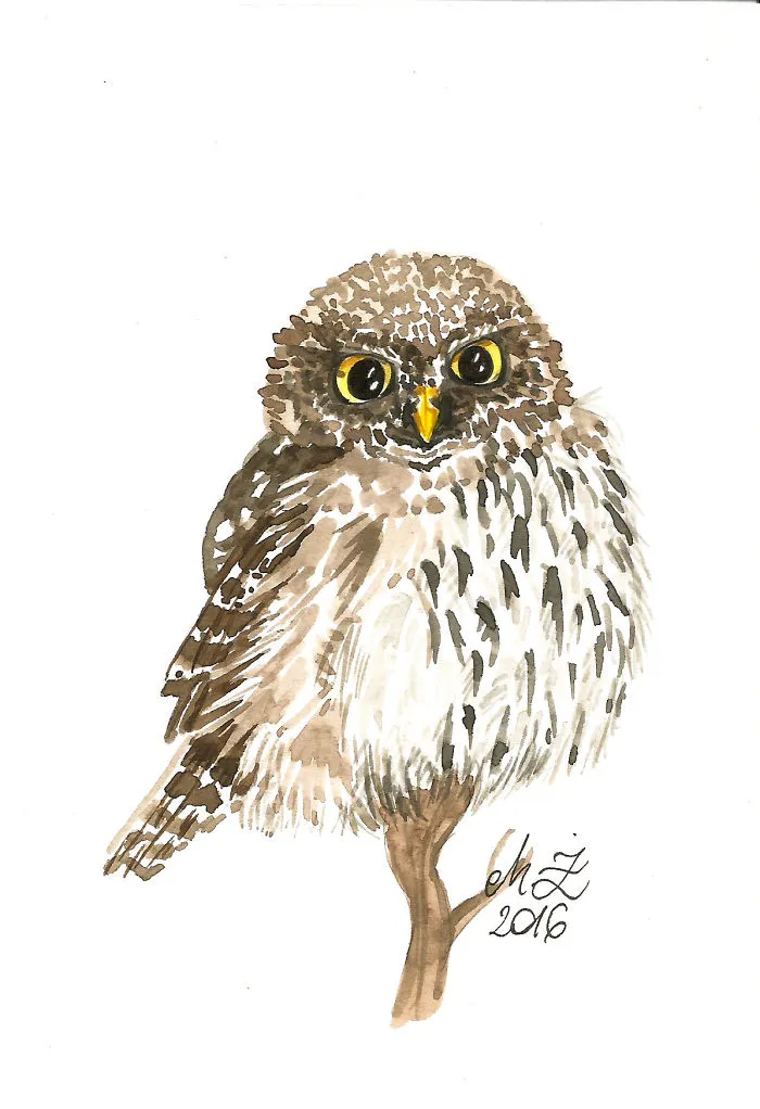 I Painted My First Owl 5 Years Ago, And Haven't Been Able To Stop Since (54 Pics)