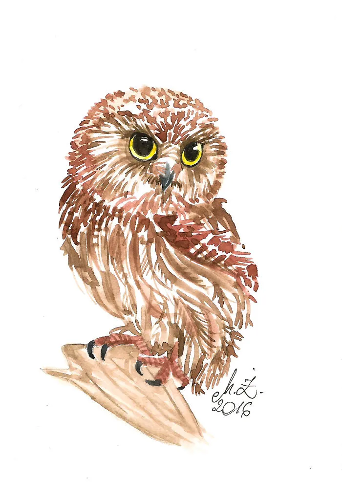 I Painted My First Owl 5 Years Ago, And Haven't Been Able To Stop Since (54 Pics)