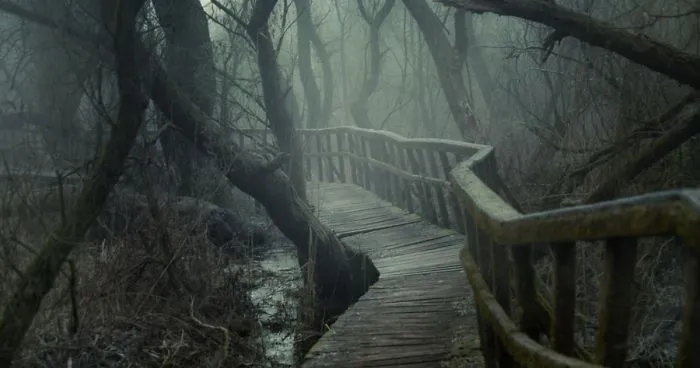 I Found A Chilling Path That Looked Like A Trail To Mordor (20 Pics)
